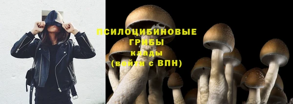 гашик Горно-Алтайск