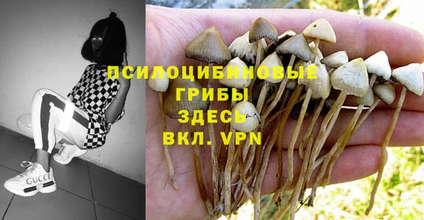 марки lsd Горняк