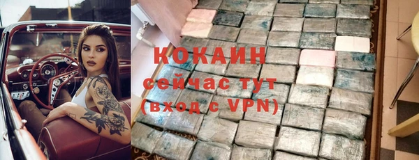 гашик Горно-Алтайск